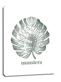 lisc-viii-monstera-obraz-na-plotnie-70x100-cm