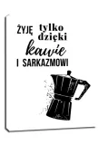 sarkazm-obraz-na-plotnie-40x50-cm