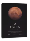mars-obraz-na-plotnie-90x120-cm