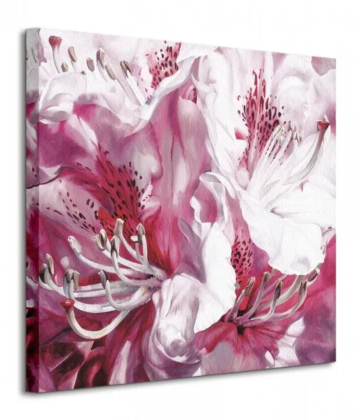 froth-and-flounce-obraz-na-plotnie-60x60-cm-stan-nowy