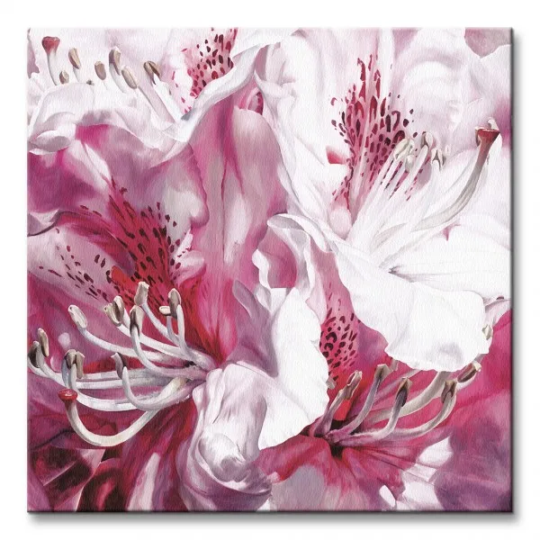froth-and-flounce-obraz-na-plotnie-60x60-cm