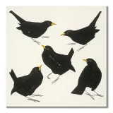 blackbirds-obraz-na-plotnie-60x60-cm-stan-nowy