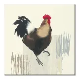 cockerel-obraz-na-plotnie-60x60-cm-stan-nowy