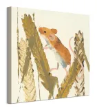 harvest-mouse-obraz-na-plotnie-60x60-cm