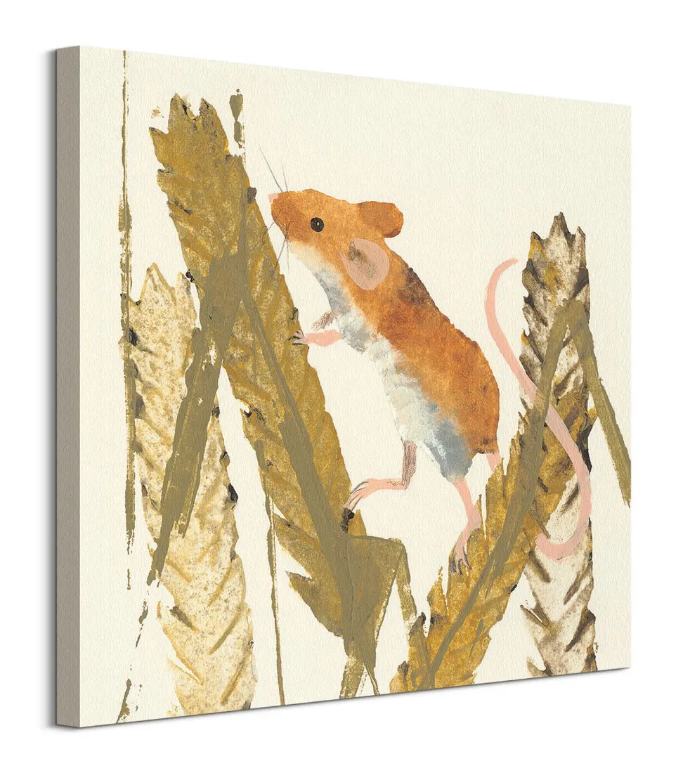 harvest-mouse-obraz-na-plotnie-60x60-cm