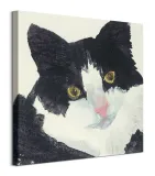 nosey-obraz-na-plotnie-60x60-cm