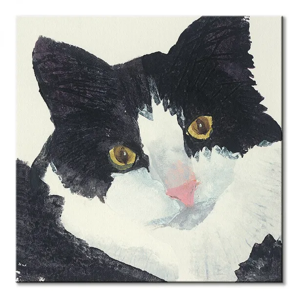 nosey-obraz-na-plotnie-60x60-cm-stan-nowy