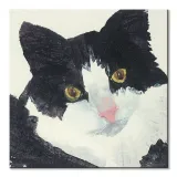 nosey-obraz-na-plotnie-60x60-cm-stan-nowy