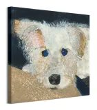 oscar-obraz-na-plotnie-60x60-cm