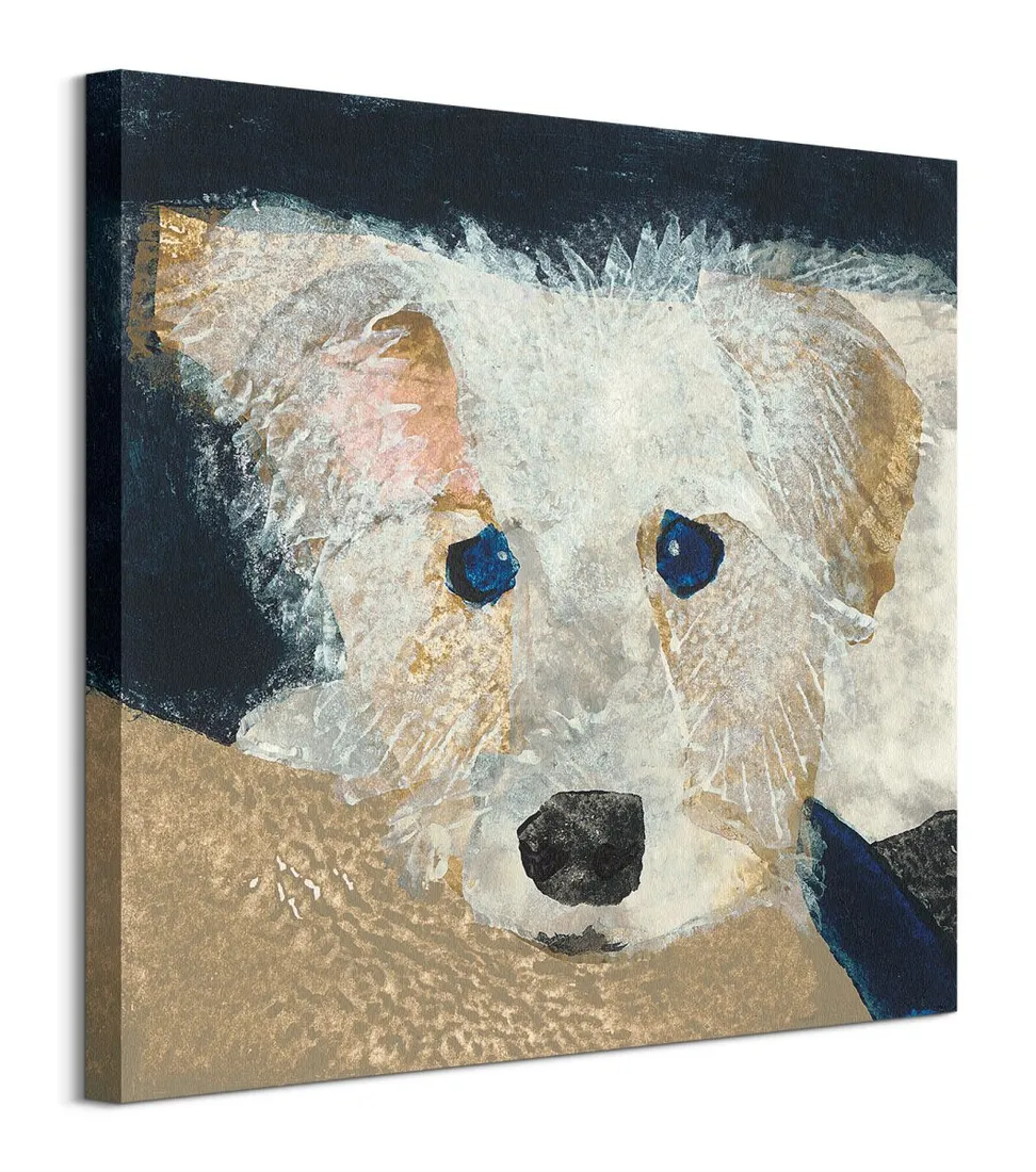 oscar-obraz-na-plotnie-60x60-cm