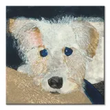 oscar-obraz-na-plotnie-60x60-cm-stan-nowy