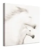 gentle-obraz-na-plotnie-60x60-cm