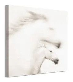 gentle-obraz-na-plotnie-60x60-cm