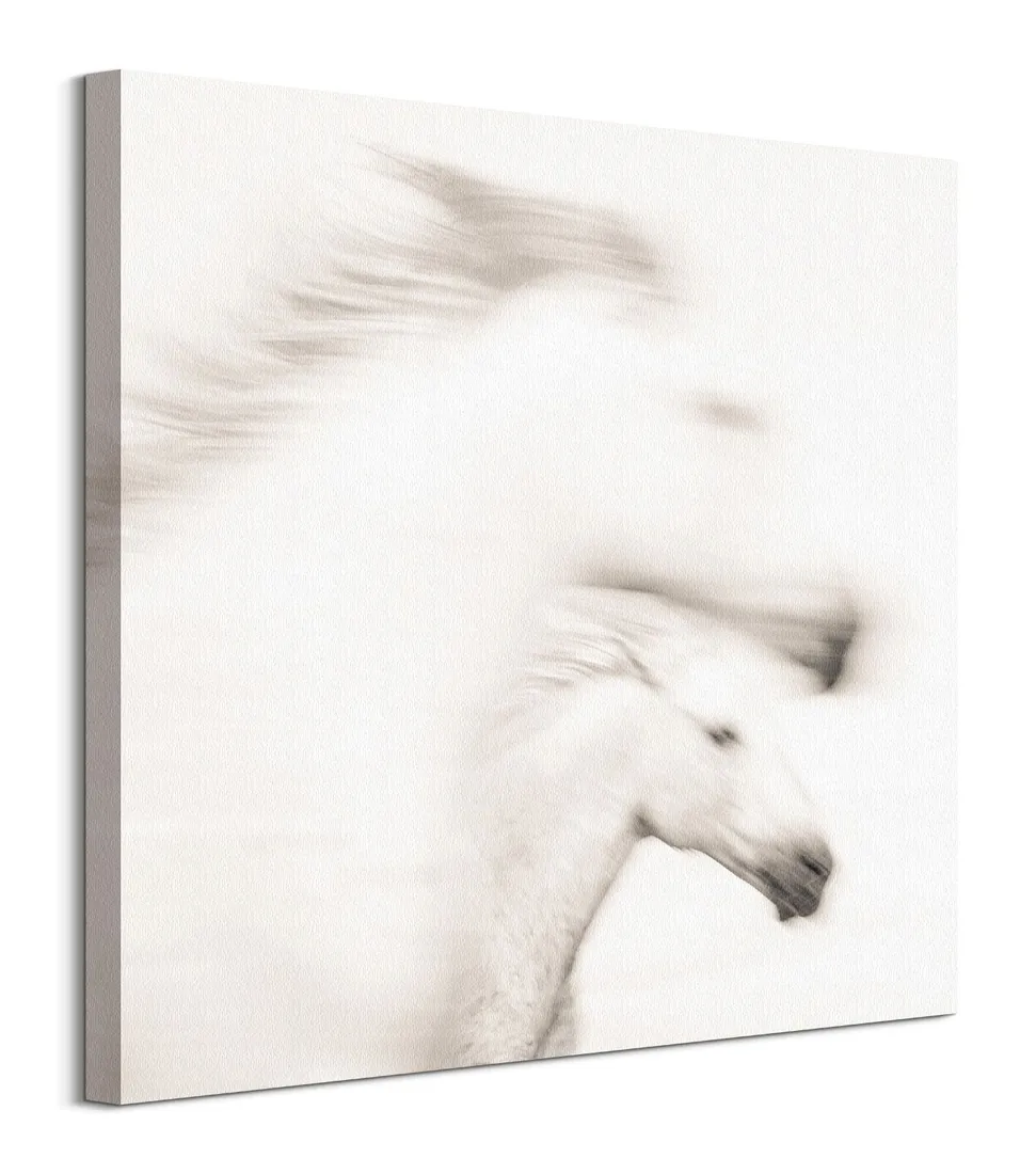 gentle-obraz-na-plotnie-60x60-cm