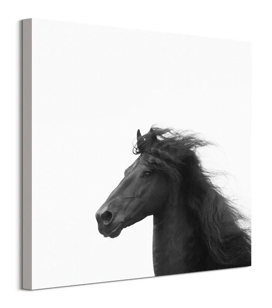 majesty-ii-obraz-na-plotnie-60x60-cm