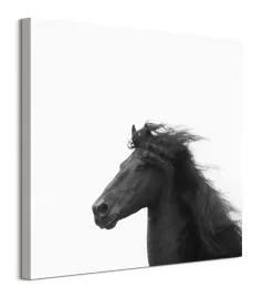 majesty-ii-obraz-na-plotnie-60x60-cm