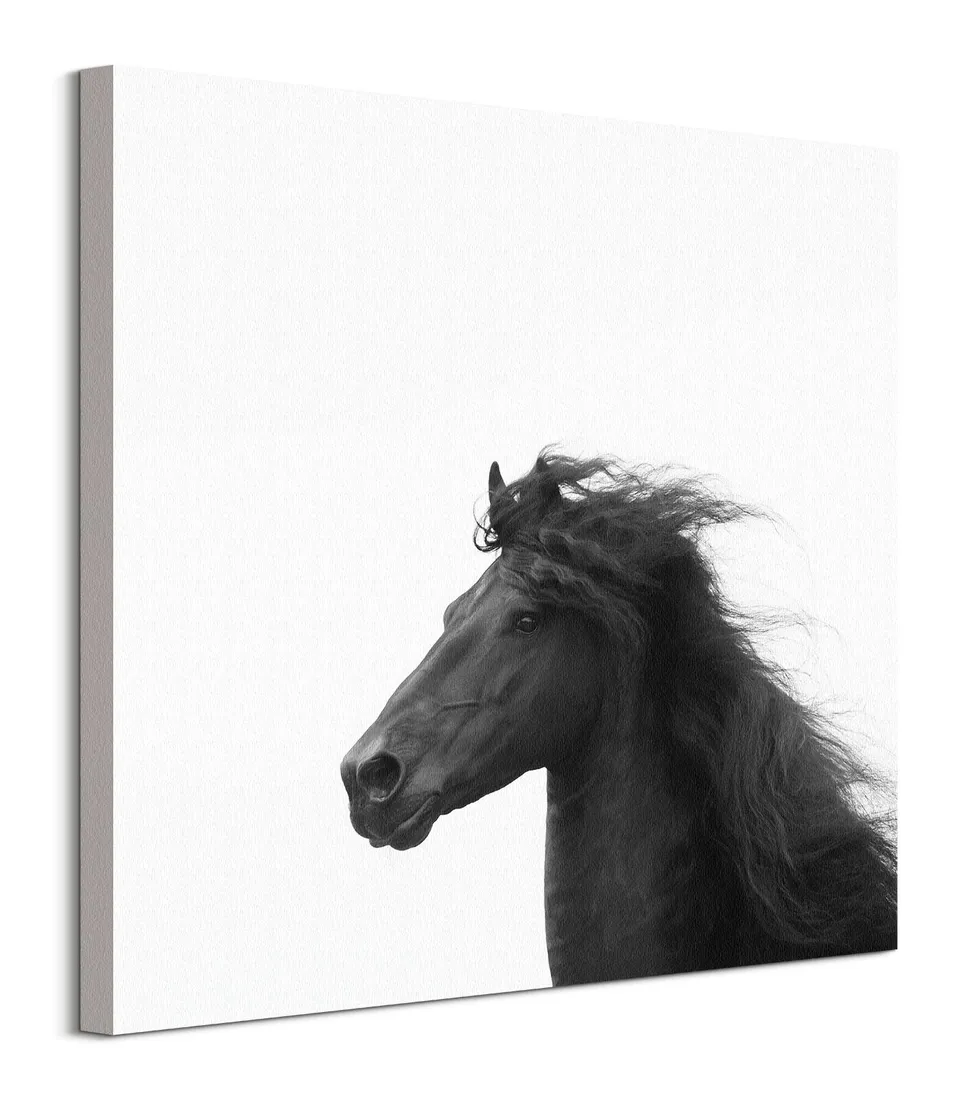 majesty-ii-obraz-na-plotnie-60x60-cm-stan-nowy