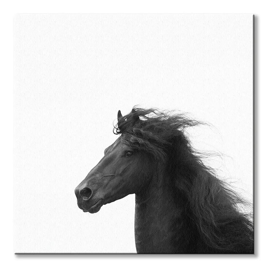 majesty-ii-obraz-na-plotnie-60x60-cm