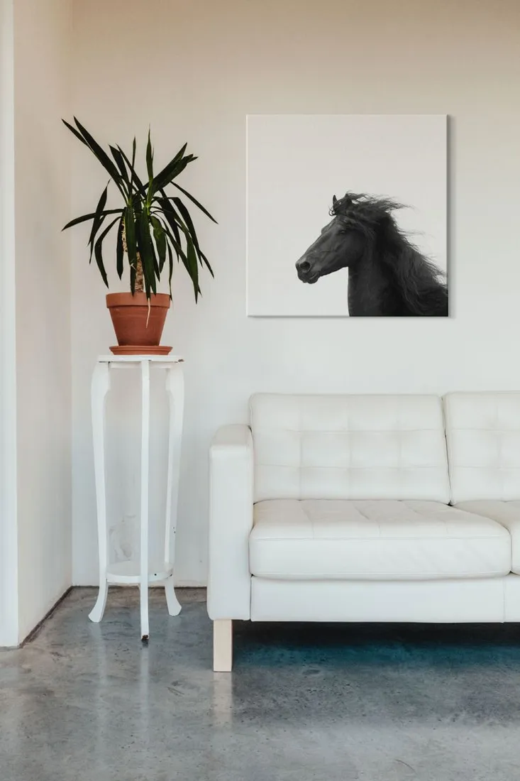majesty-ii-obraz-na-plotnie-60x60-cm