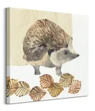 hedgehog-obraz-na-plotnie-60x60-cm