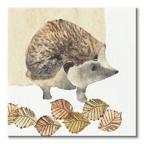 hedgehog-obraz-na-plotnie-60x60-cm-stan-nowy