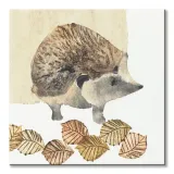 hedgehog-obraz-na-plotnie-60x60-cm-stan-nowy
