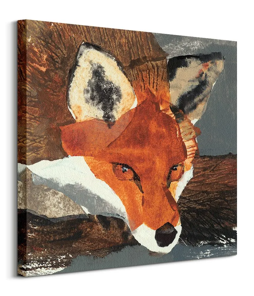 fox-obraz-na-plotnie-60x60-cm