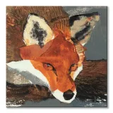 fox-obraz-na-plotnie-60x60-cm-stan-nowy