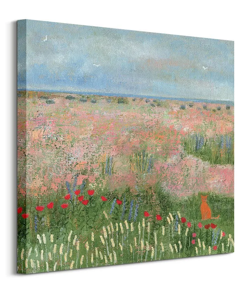 beach-cat-obraz-na-plotnie-60x60-cm-stan-nowy