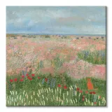 beach-cat-obraz-na-plotnie-60x60-cm-stan-nowy