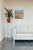 mooch-obraz-na-plotnie-60x60-cm-stan-nowy