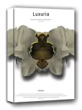 luxuria-obraz-na-plotnie-60x90-cm