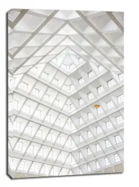 linie-obraz-na-plotnie-50x70-cm