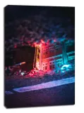 singapur-neon-obraz-na-plotnie-61x915-cm