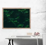tuja-plakat-40x30-cm-stan-nowy
