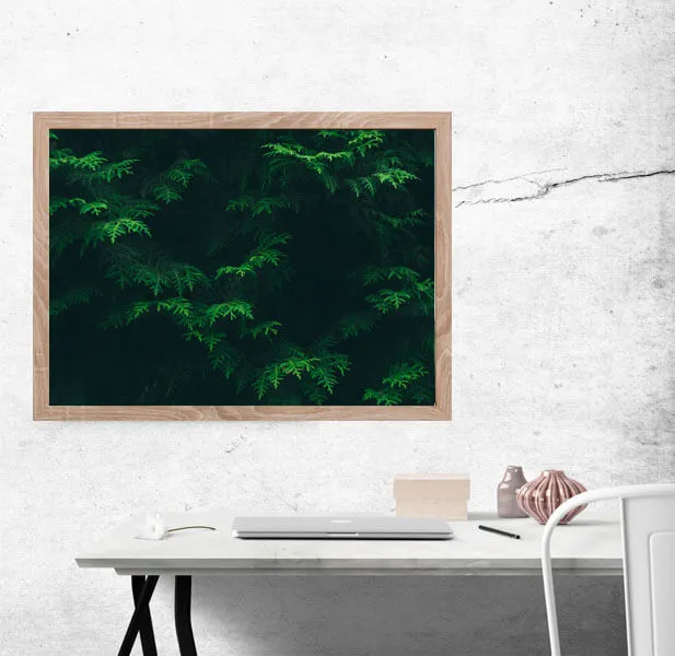 tuja-plakat-40x30-cm