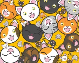 kotki-plakat-70x50-cm
