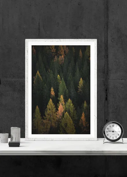 jesienny-las-plakat-40x50-cm-stan-nowy