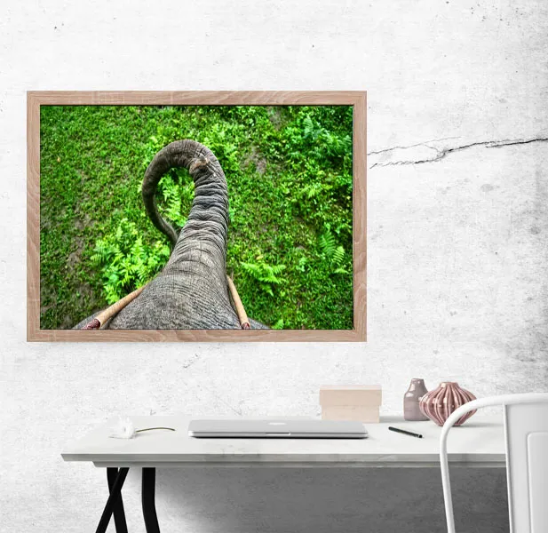 traba-plakat-297x21-cm