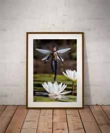 wasp-plakat-42x594-cm