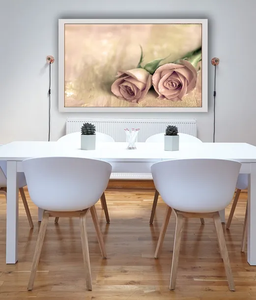 samotne-roze-plakat-40x30-cm-stan-nowy