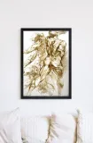 anatomical-studies-rubens-plakat-60x80-cm-stan-nowy