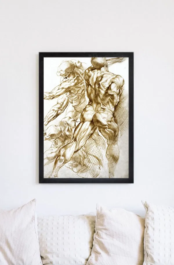 anatomical-studies-rubens-plakat-60x80-cm