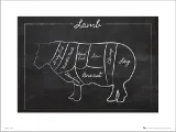 lamb-chalk-plakat-premium-40x30-cm