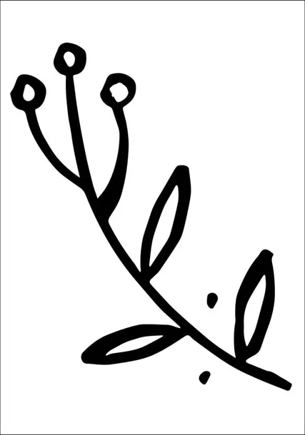 galazka-plakat-40x60-cm