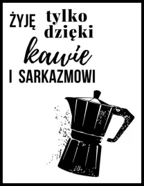 sarkazm-plakat-50x70-cm