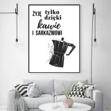 sarkazm-plakat-50x70-cm-stan-nowy