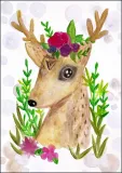 jelonek-akwarela-plakat-60x80-cm