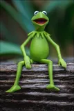 kermit-zaba-i-plakat-594x841-cm