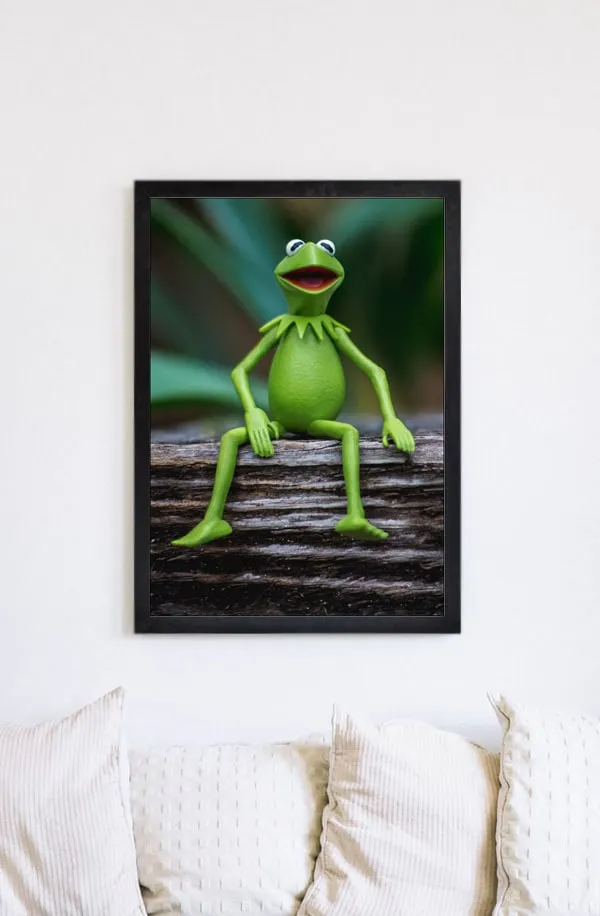 kermit-zaba-i-plakat-594x841-cm